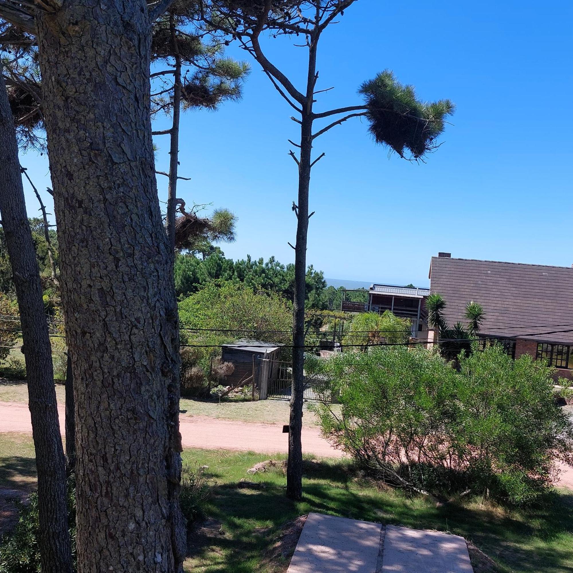 Casa Amarilla Con Jacuzzi Villa Punta Del Diablo Exterior photo
